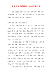主题教育总结推进大会讲话稿3篇