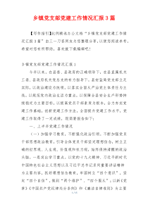 乡镇党支部党建工作情况汇报3篇