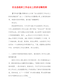 在全县组织工作会议上的讲话稿范例