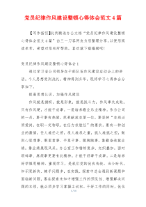 党员纪律作风建设整顿心得体会范文4篇