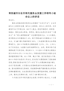 常务副市长在市现代服务业发展工作领导小组会议上的讲话