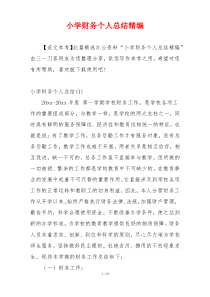 小学财务个人总结精编