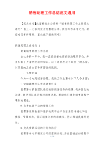销售助理工作总结范文通用