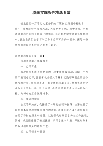 顶岗实践报告精选5篇
