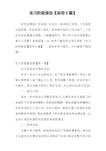 实习阶段报告【实用5篇】