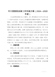 市大型医院巡查工作实施方案（2024—2026年度）