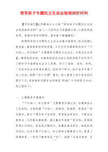 领导班子专题民主生活会检视剖析材料