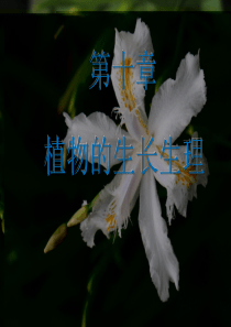 第10章-植物的生长生理
