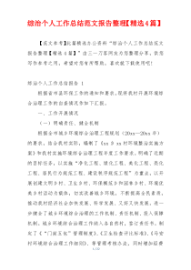 综治个人工作总结范文报告整理【精选4篇】