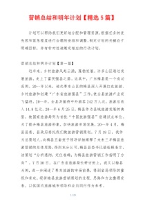 营销总结和明年计划【精选5篇】
