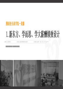 新东方、学而思、学大薪酬绩效设计理念-附件