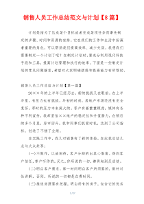 销售人员工作总结范文与计划【8篇】