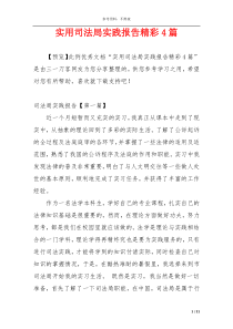 实用司法局实践报告精彩4篇