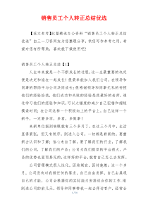 销售员工个人转正总结优选