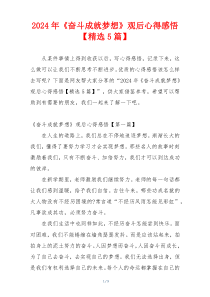 2024年《奋斗成就梦想》观后心得感悟【精选5篇】