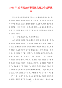 2024年.公司党支部书记抓党建工作述职报告