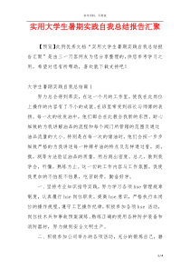 实用大学生暑期实践自我总结报告汇聚