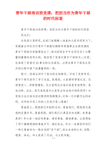 青年干部培训班党课：把担当作为青年干部的时代标签