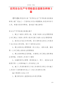 实用安全生产专项检查自查报告样例3篇