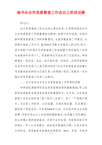 秘书长全市党委督查工作会议上的讲话稿