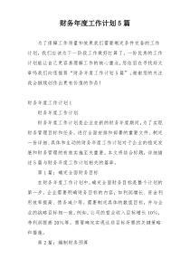 财务年度工作计划5篇
