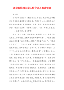 在全县校园安全工作会议上的讲话稿