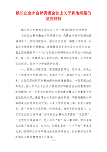 镇长在全市自然资源会议上关于耕地问题的发言材料