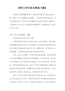 农村工作计划【热选5篇】