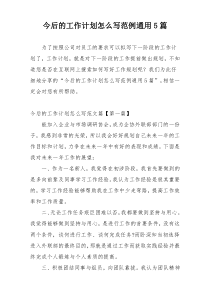 今后的工作计划怎么写范例通用5篇