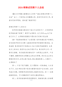 2024销售试用期个人总结