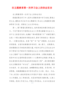 在主题教育第一次学习会上的体会发言