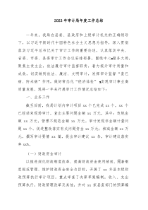 2023年审计局年度工作总结