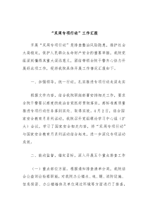 双周专项行动工作汇报