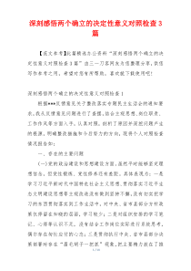 深刻感悟两个确立的决定性意义对照检查3篇