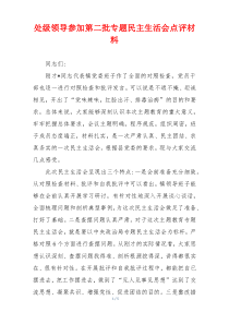 处级领导参加第二批专题民主生活会点评材料
