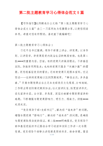 第二批主题教育学习心得体会范文5篇