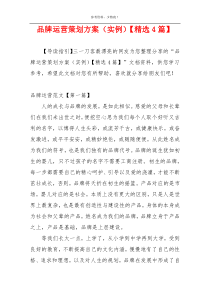 品牌运营策划方案（实例）【精选4篇】