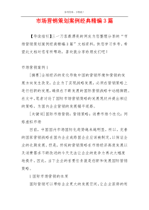 市场营销策划案例经典精编3篇