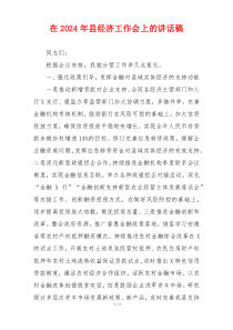 在2024年县经济工作会上的讲话稿