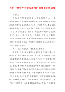 在科技型中小企业发展推进大会上的讲话稿
