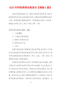 2024年网络销售实践报告【精编4篇】