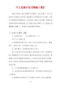 个人发展计划【精编5篇】