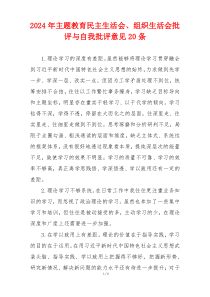 2024年主题教育民主生活会、组织生活会批评与自我批评意见20条