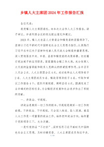 乡镇人大主席团2024年工作报告汇报