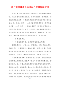 县“高质量项目推进年”开展情况汇报