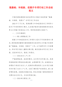 强基础、补短板、促提升专项行动工作总结范文