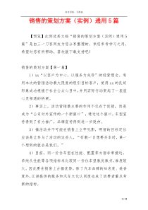 销售的策划方案（实例）通用5篇