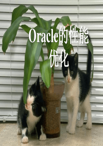 Oracle的性能优化