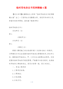 临时用电协议书范例精编4篇