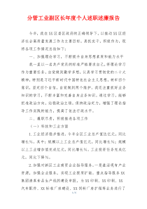 分管工业副区长年度个人述职述廉报告